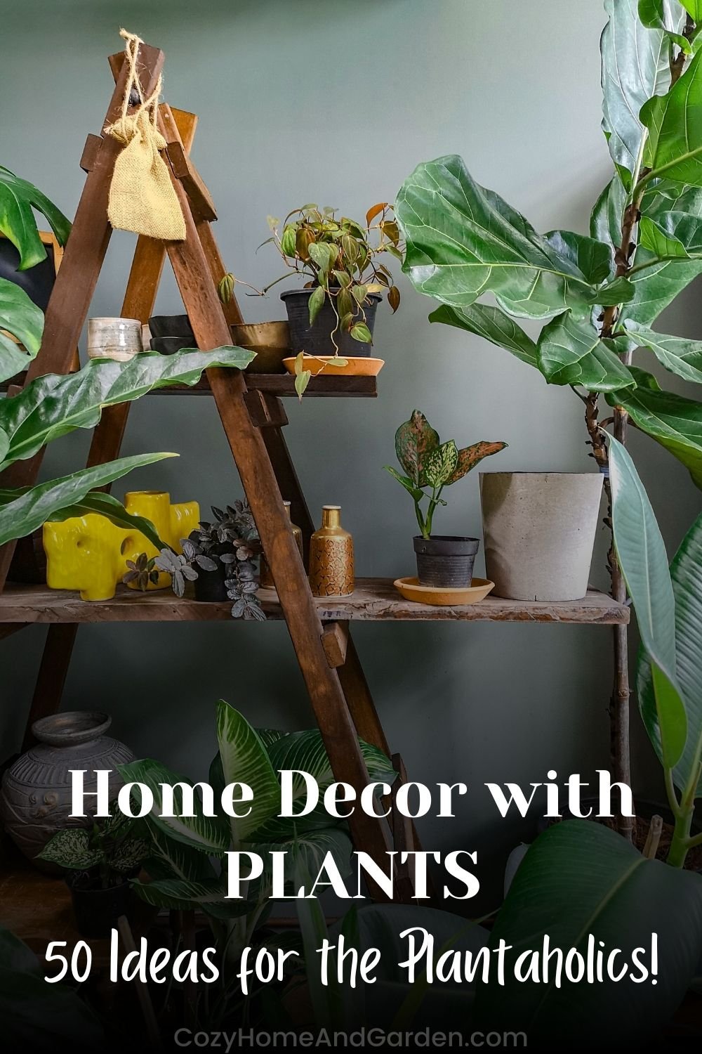 Home Decor with Plants – 50 Ideas For The Real Plantaholics